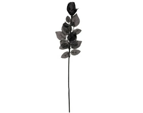 Hearts & Roses All Black Rosebud 1 Hearts & Roses All Black Rosebud