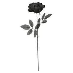 Hearts & Roses All Black Rose