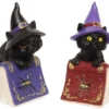 Cats Witch Cat On Spellbook