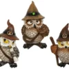 Wise Wizard Owl Set