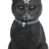 Occult Witch Cat Statue - Medium