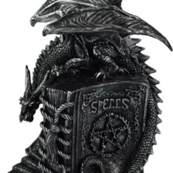 Dragons Black Dragon With Book Of Spells Light