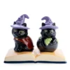 Cats Black Cat Salt And Pepper Set