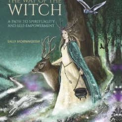 Book - Way Of The Witch